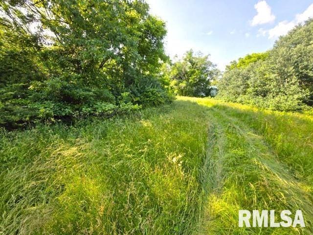 0000 N Maysville Ln, Mount Vernon, IL 62864 - photo 13