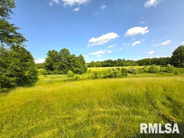 0000 N Maysville Ln, Mount Vernon, IL 62864 - photo 14