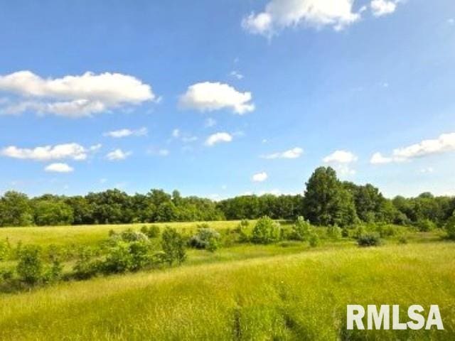 0000 N Maysville Ln, Mount Vernon, IL 62864 - photo 15