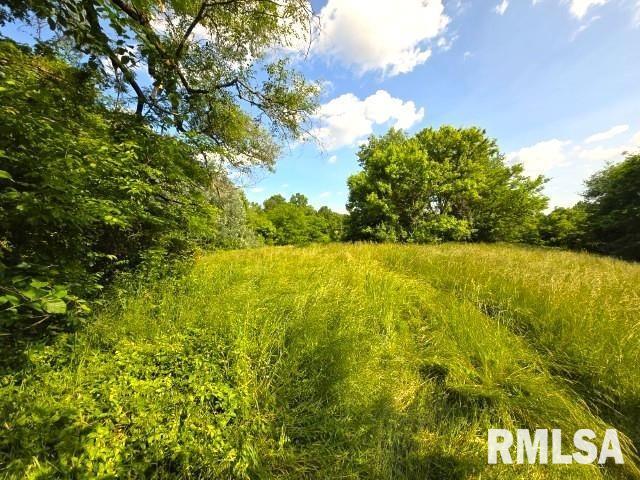 0000 N Maysville Ln, Mount Vernon, IL 62864 - photo 3