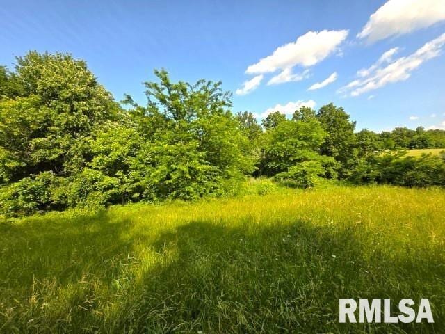 0000 N Maysville Ln, Mount Vernon, IL 62864 - photo 4