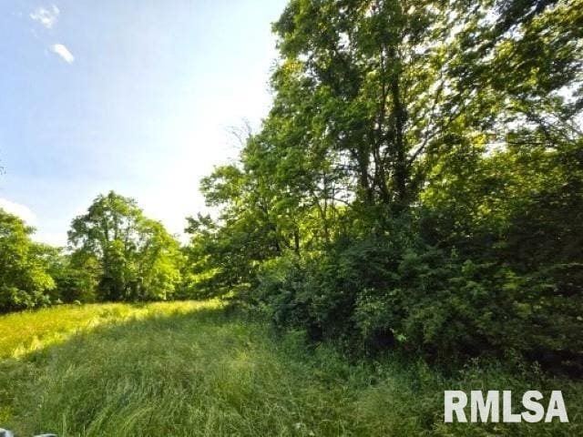 0000 N Maysville Ln, Mount Vernon, IL 62864 - photo 5