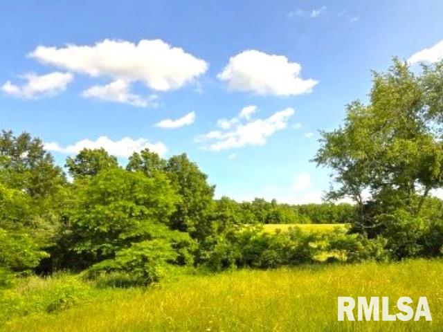 0000 N Maysville Ln, Mount Vernon, IL 62864 - photo 6