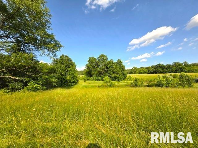0000 N Maysville Ln, Mount Vernon, IL 62864 - photo 7
