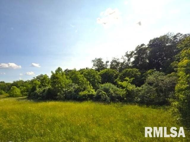 0000 N Maysville Ln, Mount Vernon, IL 62864 - photo 8