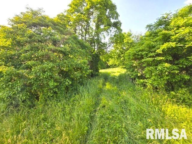 0000 N Maysville Ln, Mount Vernon, IL 62864 - photo 9