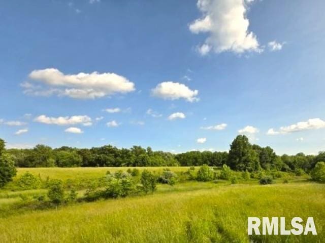 0000 N Maysville Ln, Mount Vernon, IL 62864 - photo 10