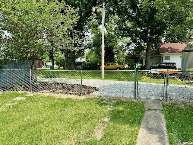 518 Noleman St, Centralia, IL 62801 - view of yard