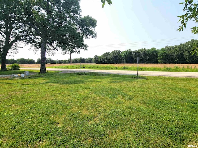 7324 State Route 161st Ext, Iuka, IL 62849 - view of grassy yard