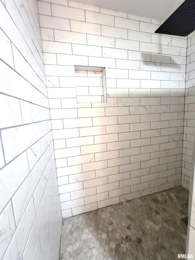 7324 State Route 161st Ext, Iuka, IL 62849 - bathroom featuring tiled shower