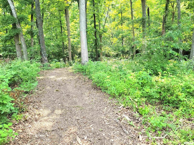 7324 State Route 161st Ext, Iuka, IL 62849 - view of wooded area