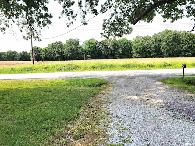 7324 State Route 161st Ext, Iuka, IL 62849 - view of street