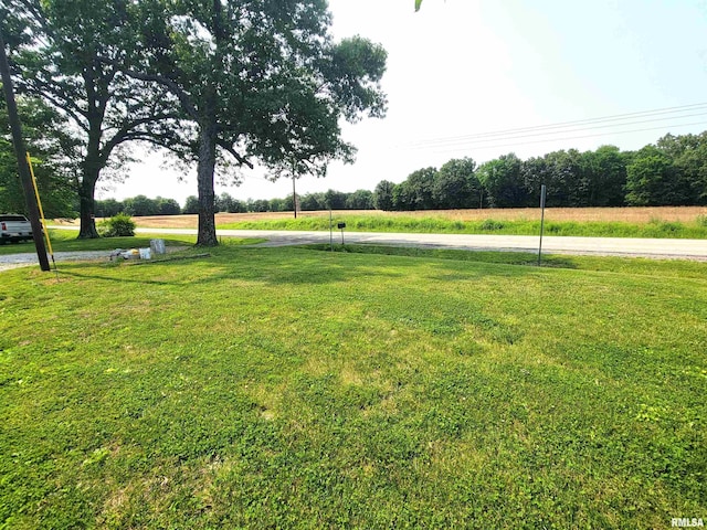 7324 State Route 161st Ext, Iuka, IL 62849 - view of grassy yard