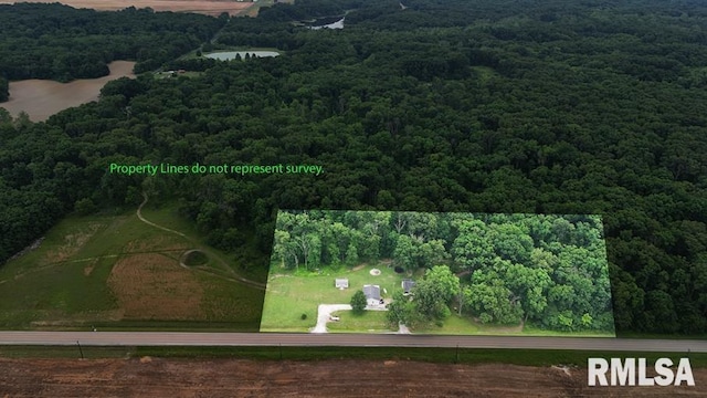 7324 State Route 161st Ext, Iuka, IL 62849 - aerial view of property's location with a heavily wooded area and property parcel outlined