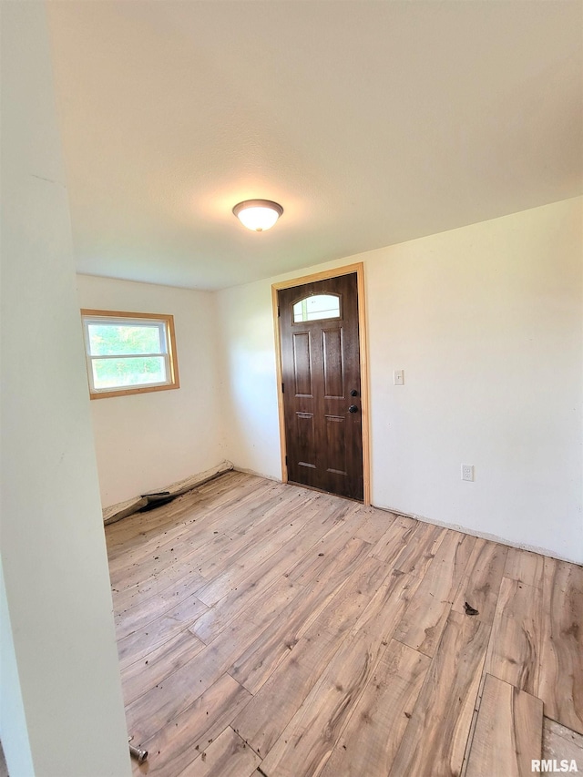 7324 State Route 161st Ext, Iuka, IL 62849 - foyer entrance with hardwood / wood-style flooring