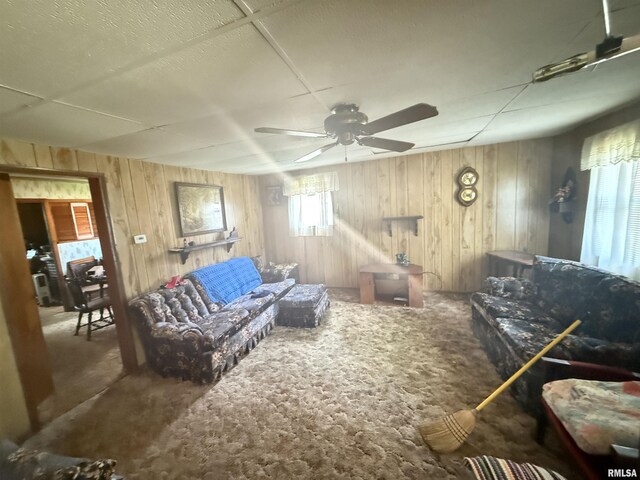 209 N Olive St, Carterville, IL 62918 - photo 14