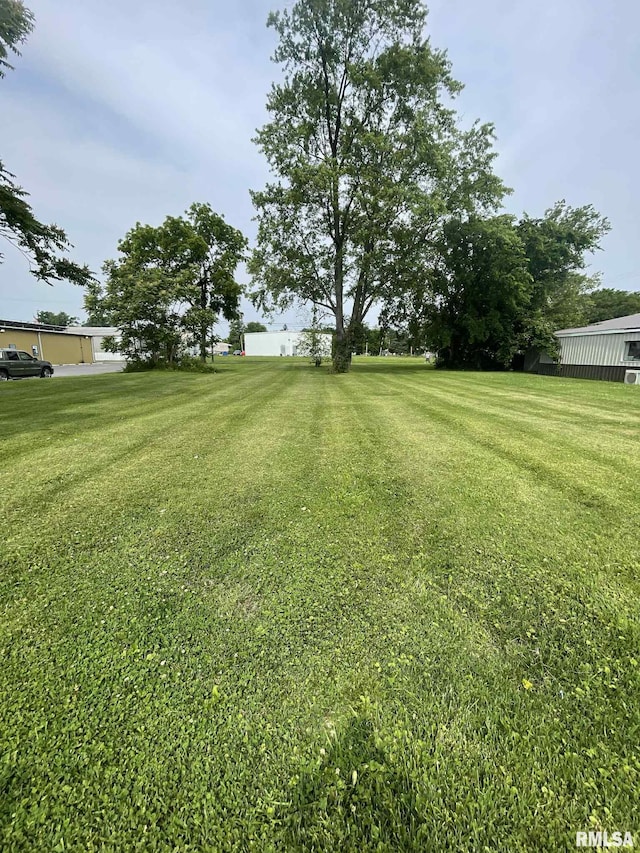 111 Rufus, Mount Vernon, IL 62864 - view of grassy yard