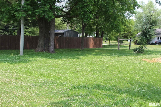 111 Rufus, Mount Vernon, IL 62864 - view of yard