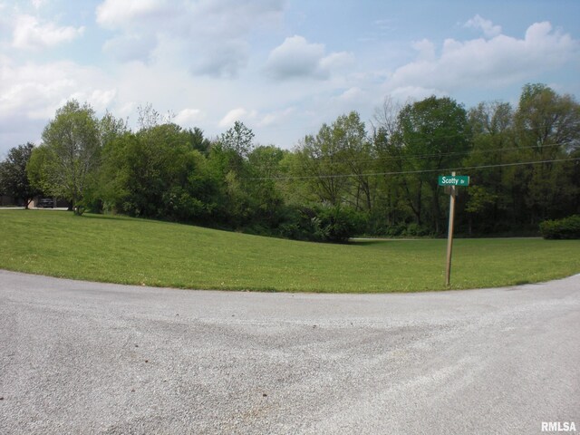 LOT20 Scotty Dr, Carbondale, IL 62903 - photo 3