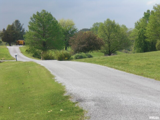 LOT20 Scotty Dr, Carbondale, IL 62903 - photo 4