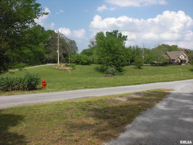 LOT20 Scotty Dr, Carbondale, IL 62903 - photo 8