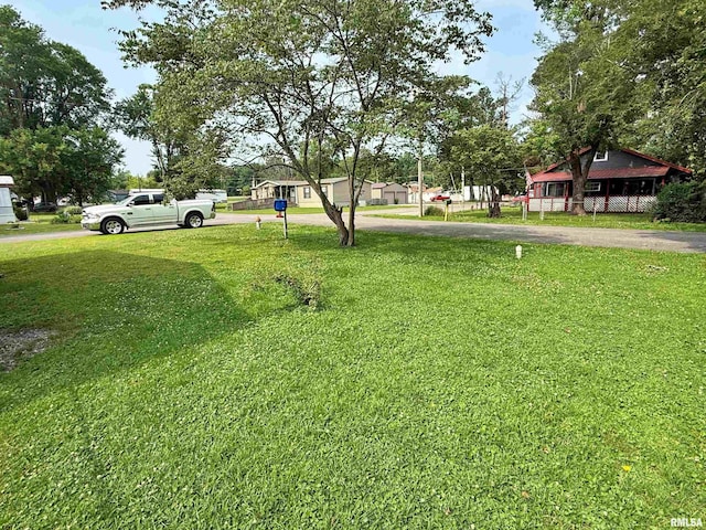 2000 Simmons St, Metropolis, IL 62960 - view of grassy yard with asphalt driveway