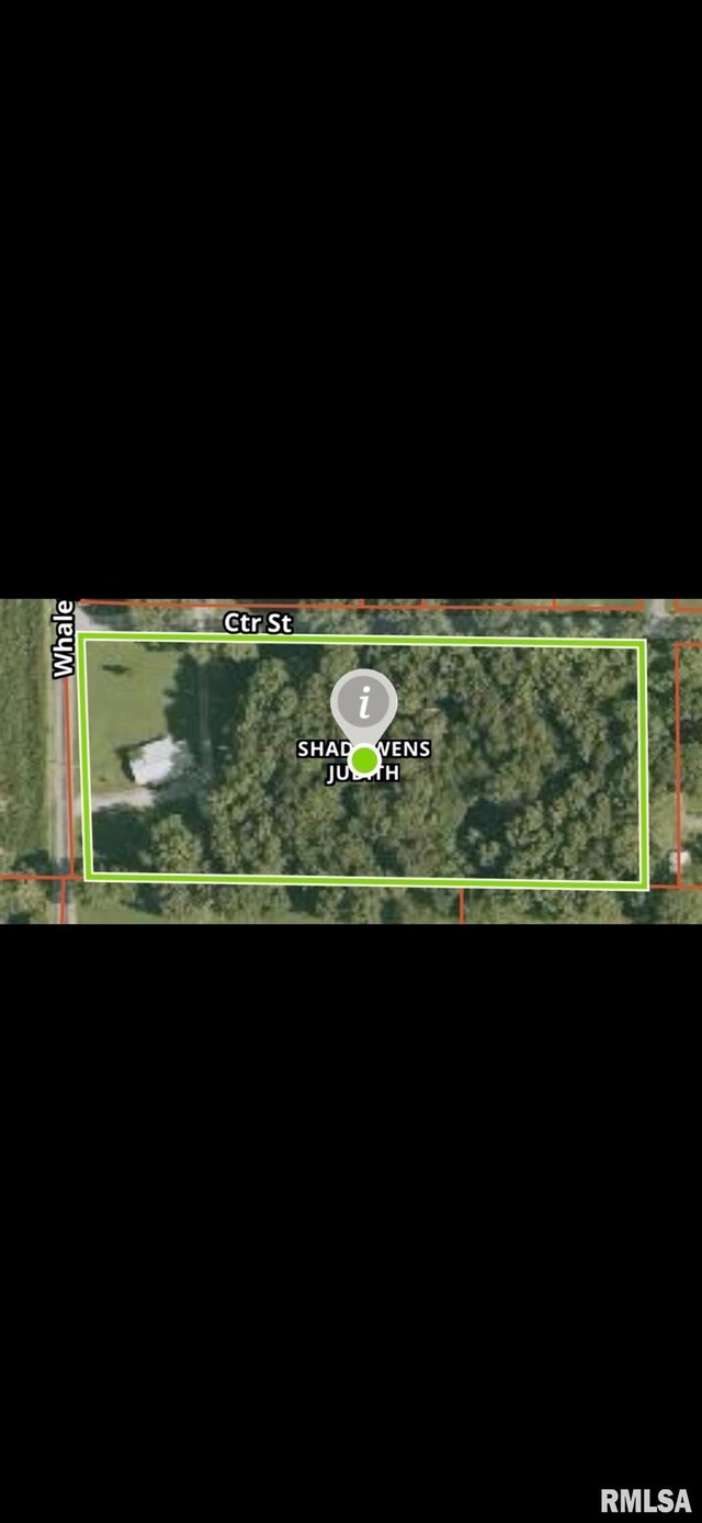 5378 Center St, Mulkeytown, IL 62865 - photo 33