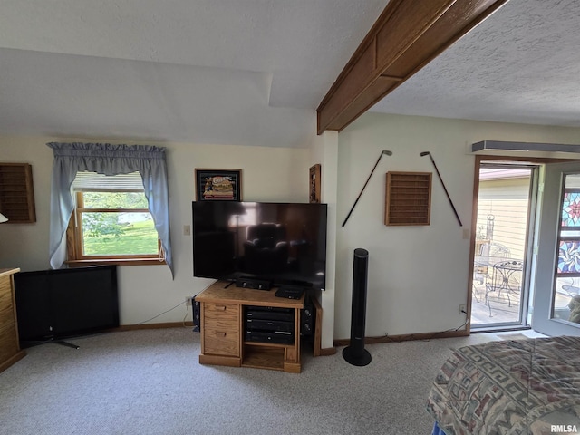 2998 Massac Creek Rd, Metropolis, IL 62960 - bedroom with light colored carpet, access to exterior, and a textured ceiling