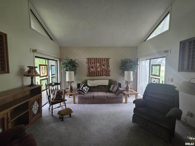 2998 Massac Creek Rd, Metropolis, IL 62960 - living area featuring carpet, healthy amount of natural light, and high vaulted ceiling