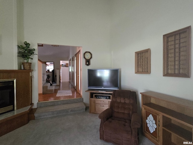 2998 Massac Creek Rd, Metropolis, IL 62960 - living room with carpet flooring and a fireplace with raised hearth