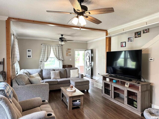 211 E Cross St, Dongola, IL 62926 - living room featuring a textured ceiling, a ceiling fan, crown molding, dark wood-style floors, and baseboards