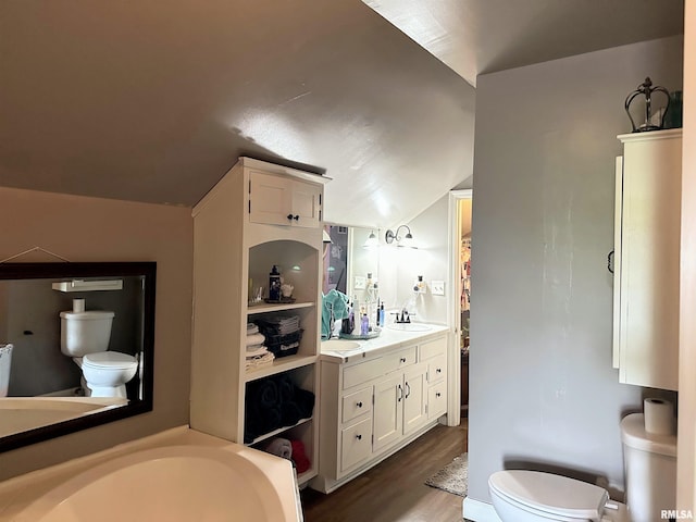 211 E Cross St, Dongola, IL 62926 - bathroom with toilet, lofted ceiling, wood finished floors, vanity, and a tub
