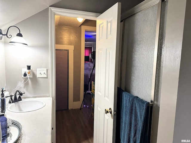 211 E Cross St, Dongola, IL 62926 - bathroom featuring wood finished floors and vanity