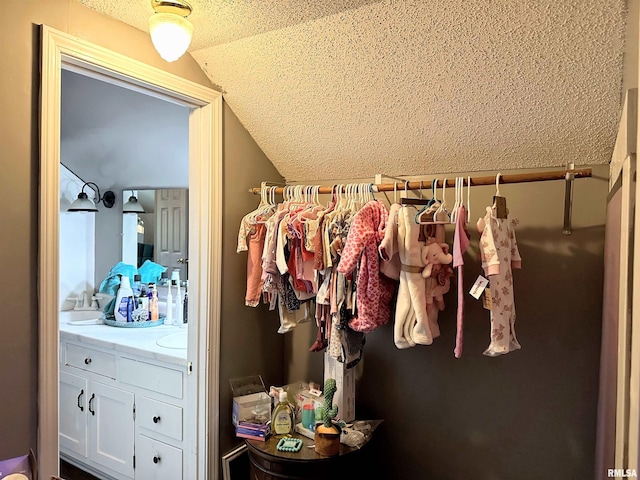 211 E Cross St, Dongola, IL 62926 - walk in closet with vaulted ceiling