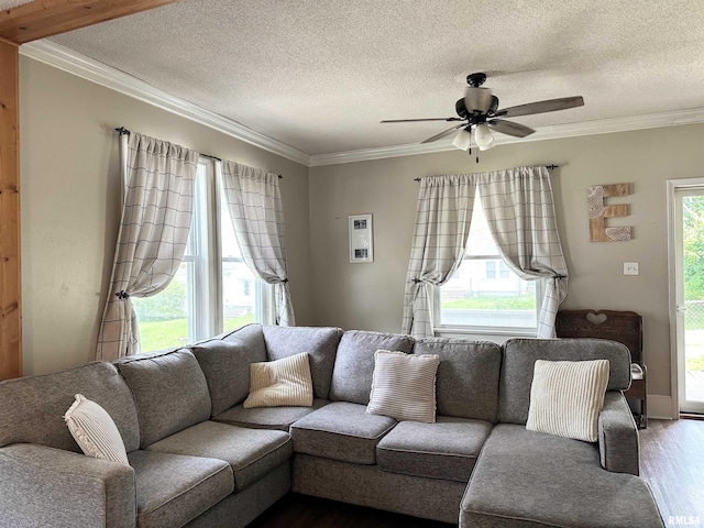 211 E Cross St, Dongola, IL 62926 - living area with ornamental molding, ceiling fan, dark wood-style floors, and a textured ceiling