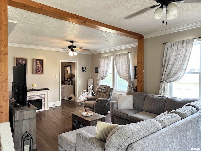 211 E Cross St, Dongola, IL 62926 - living room with ceiling fan, healthy amount of natural light, dark wood-style flooring, a textured ceiling, and crown molding