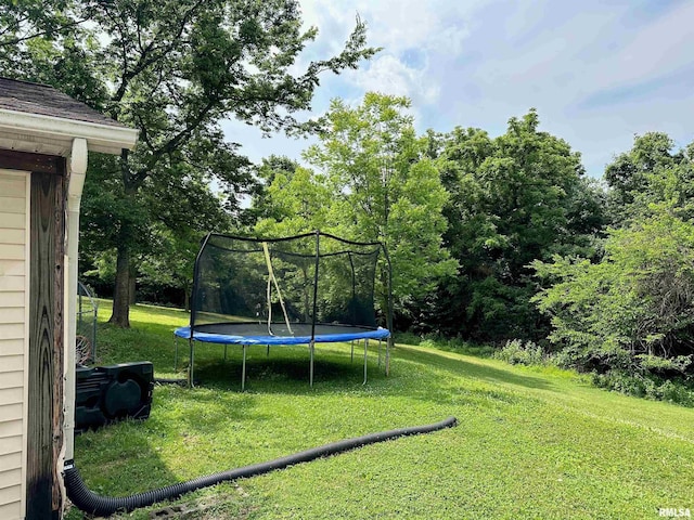 211 E Cross St, Dongola, IL 62926 - view of green lawn with a trampoline