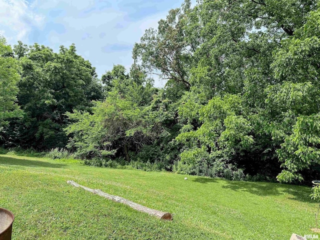 211 E Cross St, Dongola, IL 62926 - view of grassy yard