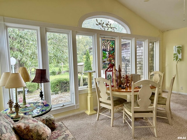 2016 Greenview St, Metropolis, IL 62960 - sunroom featuring lofted ceiling
