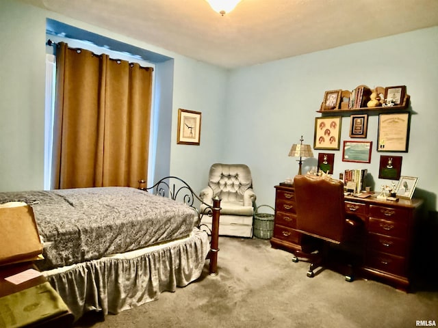 2016 Greenview St, Metropolis, IL 62960 - bedroom with carpet flooring and a desk