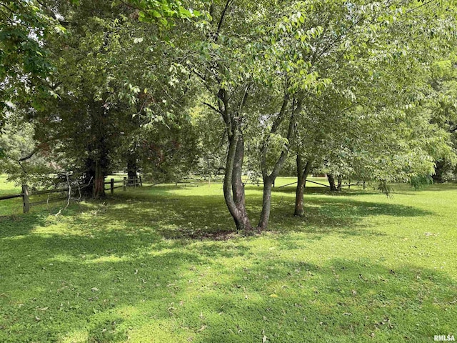 2016 Greenview St, Metropolis, IL 62960 - view of yard