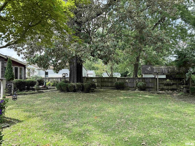 2016 Greenview St, Metropolis, IL 62960 - view of yard