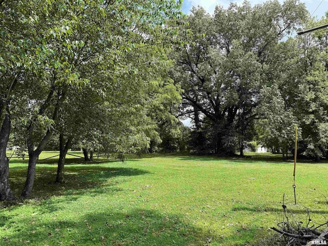 2016 Greenview St, Metropolis, IL 62960 - view of green lawn