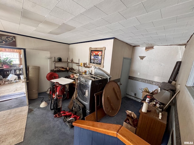 2601 Nielson Crossing Rd, Marion, IL 62959 - below grade area with carpet floors