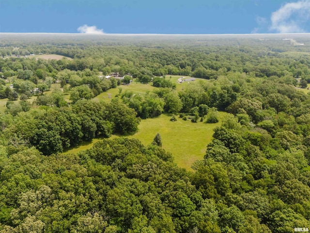 2601 Nielson Crossing Rd, Marion, IL 62959 - drone / aerial view of a forest