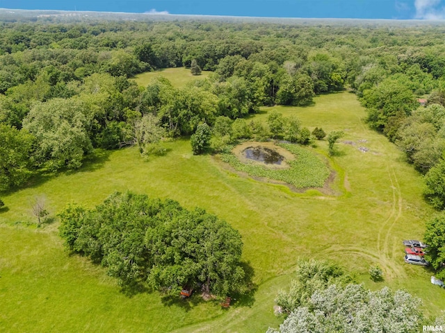 2601 Nielson Crossing Rd, Marion, IL 62959 - drone / aerial view of a forest