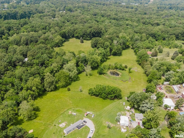 2601 Nielson Crossing Rd, Marion, IL 62959 - drone / aerial view of a forest