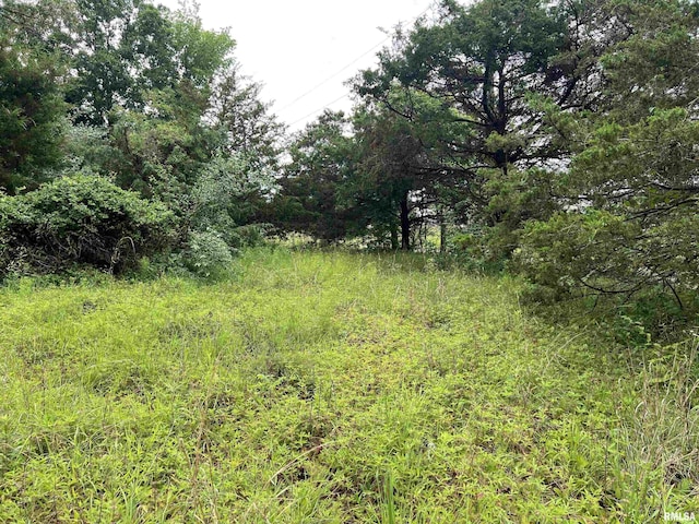 LOT211 Cherokee Dr, Goreville, IL 62939