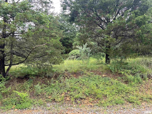 LOT211 Cherokee Dr, Goreville, IL 62939