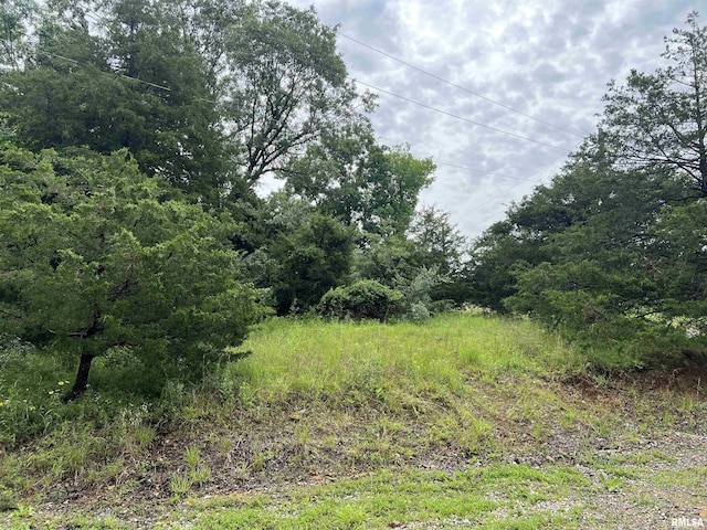 LOT211 Cherokee Dr, Goreville, IL 62939